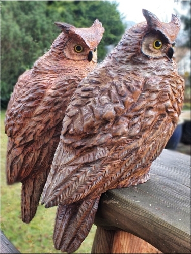 eule holz motorsäge kettensäge schnitzen kettesägenkunst motorsägenkunst